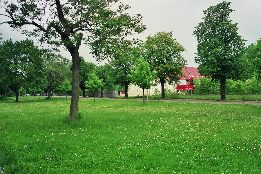 Foto Nr. 12